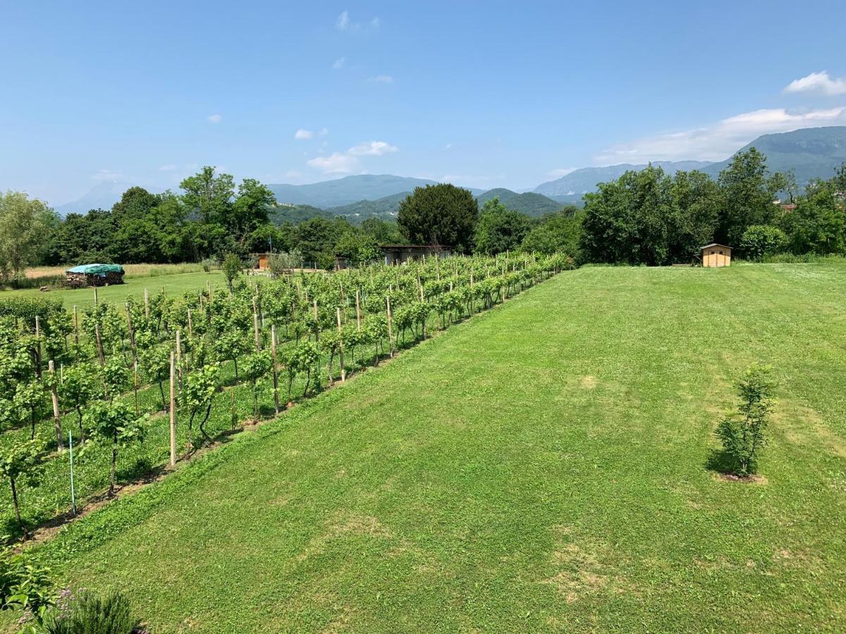 Cottage Del Fiume Ragogna ภายนอก รูปภาพ